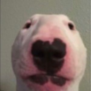 Meet your Posher, Name